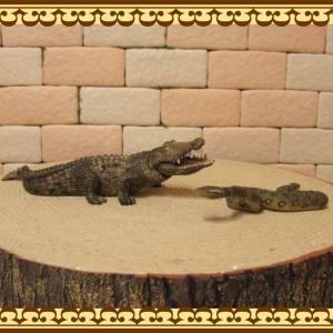 動物 置物 ワニの商品一覧 通販 Yahoo ショッピング