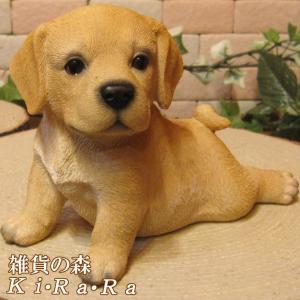 雑貨の森 Ki Ra Ra Yahoo 店 ラブラドール ゴールデンレトリバー 犬種別 Yahoo ショッピング
