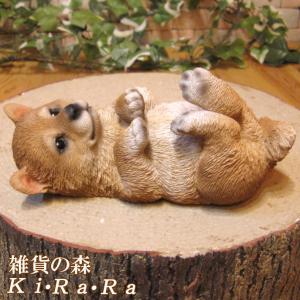 置物 動物 可愛い 犬の置物 柴犬　リアル　ゴロりん　シバ　しばいぬ　日本犬　ガーデン　オーナメント　装飾　ガーデニング