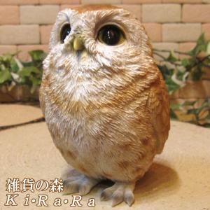 可愛いフクロウの置物 ふくろう雑貨の商品一覧 通販 Yahoo ショッピング