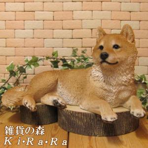 置物 犬 柴犬 玄関用 本物そっくり 実物大 リアル ドッグ オブジェ