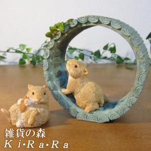 陶器 動物 鴨 置物 イタリア製 完成品 カルガモ マガモ アニマル