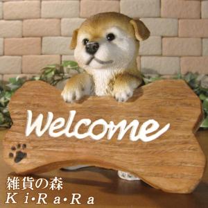 バカラ Baccarat 置物 ドッグ 犬 クリスタル フィギュリン