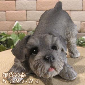 リアルなミニチュア シュナウザー子犬の彫像 高さ 動物犬 シュナウザー
