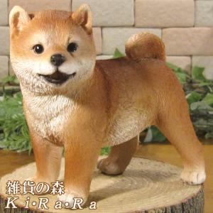 置物 犬 柴犬 玄関用 本物そっくり 実物大 リアル ドッグ オブジェ