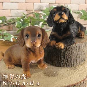 置物 動物 可愛い 犬の置物 ダックスフント フ...の商品画像