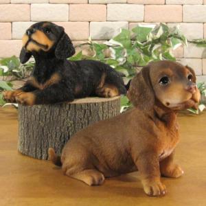 置物 動物 可愛い 犬の置物 ダックスフント ...の詳細画像2