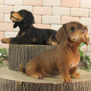 置物 動物 可愛い 犬の置物 ダックスフント ...の詳細画像3