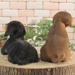 置物 動物 可愛い 犬の置物 ダックスフント ...の詳細画像4