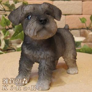 リアルなミニチュアシュナウザー子犬の彫像高さ15.9cm動物犬