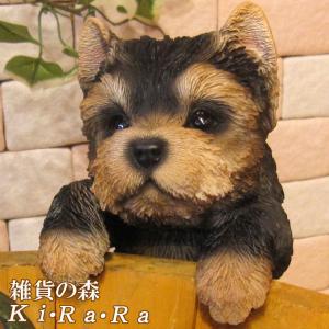 SWAROVSKI（スワロフスキー） 『Puppy - Dixie（ヨークシャーテリア