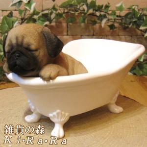 SWAROVSKI（スワロフスキー） 『Puppy ? Roxy(パグ)』 5063333