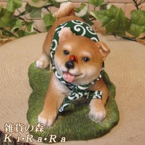 置物 動物 可愛い 犬の置物 黒柴 リアル 柴犬 お座り 仔いぬの