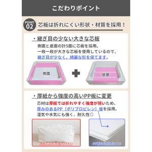 ＼オープン記念 最大20%OFFクーポン!/ ...の詳細画像3