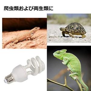 亀 紫外線ライトの商品一覧 通販 Yahoo ショッピング