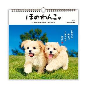 日本ホールマーク 2022年 カレンダー 壁掛け 大 ほめわんこ 790530
