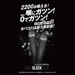 【正規販売店】COOLBLACK2200 V2...の詳細画像2