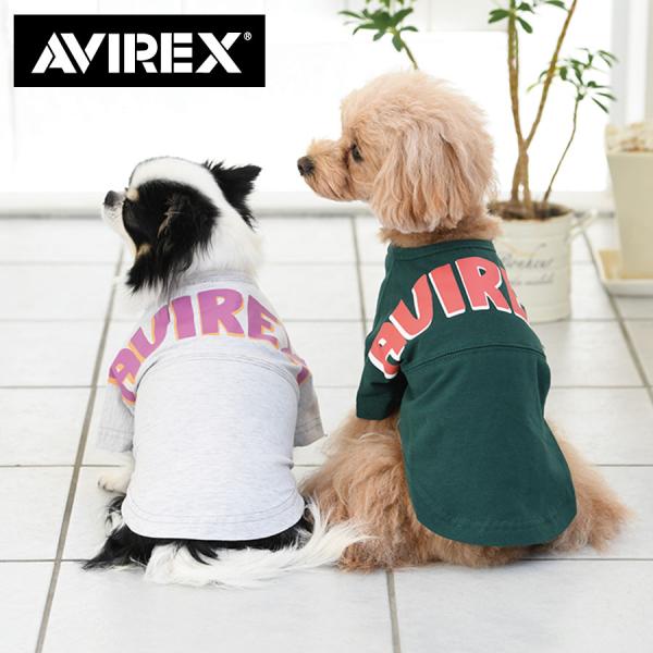 AVIREX ビッグロゴTEE V 2023春夏 Tシャツ 犬服 アヴィレックス アビレックス