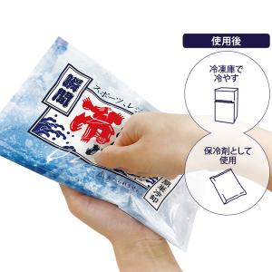 【大きいサイズ】 熱中症対策グッズ 瞬間冷却パ...の詳細画像4