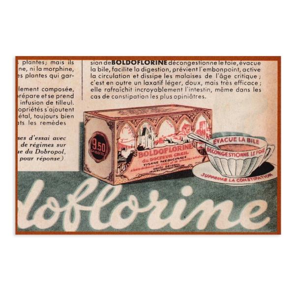 ポストカード ボタニカル アンシャン マガジーヌ  （ハーブティー） グランシュマン