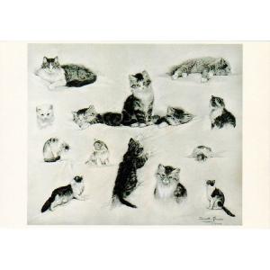 ART UNLIMITED ネコのポストカード （Cat Sketch） グリーティングカード