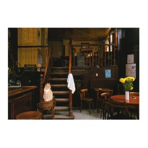 ART UNLIMITED ネコのポストカード （猫×カフェ） グリーティングカード