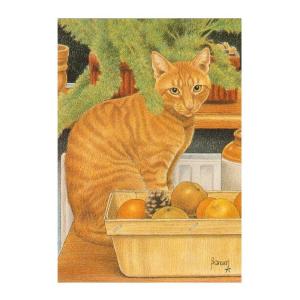 ART UNLIMITED  ネコのポストカード （猫×果物）  グリーティングカード｜zakkarobin