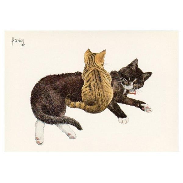 ART UNLIMITED  ネコのポストカード （ハチワレとキジトラの子猫）  グリーティングカー...