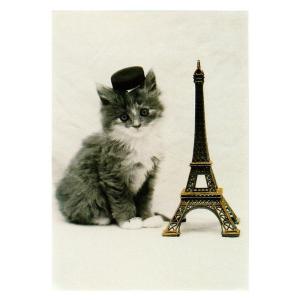 ART UNLIMITED ネコのポストカード （猫×パリ） グリーティングカード