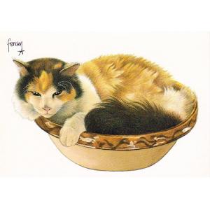 ART UNLIMITED ネコのポストカード （old cat） グリーティングカード