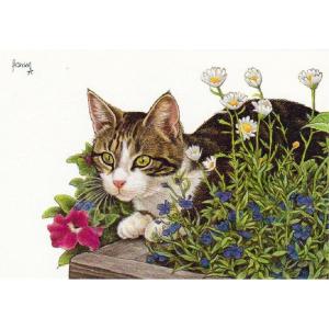 ART UNLIMITED ネコのポストカード （猫×花壇） グリーティングカード