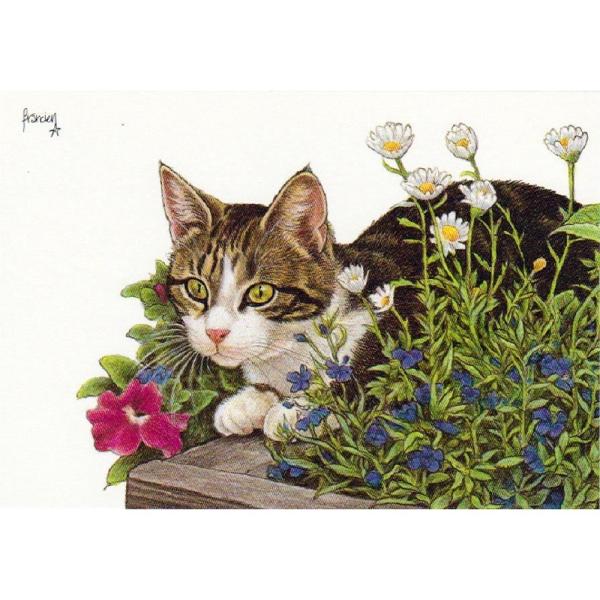 ART UNLIMITED  ネコのポストカード （猫×花壇）  グリーティングカード