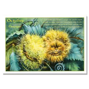 いがぐり イラストの商品一覧 通販 Yahoo ショッピング