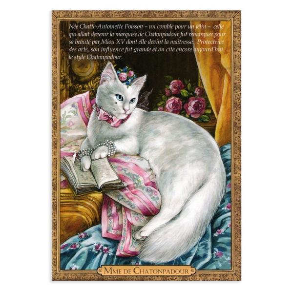 セブリーヌキャット ネコのポストカード  （ME DE CHATONPADOUR） ポンパドゥール夫...