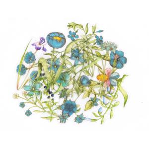フレークシール セット スクラップ素材 一輪の花シリーズ （ブルー） PET素材｜zakkarobin