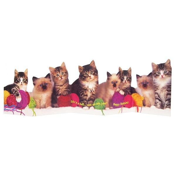 ポータル ジグザグ折り バースデーカード （毛糸と猫） 誕生日 グリーティングカード