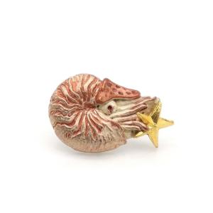 オウムガイ の 殻の商品一覧 通販 Yahoo ショッピング