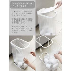 ゴミ箱 LUCE 分別 ゴミ袋ホルダー LUC...の詳細画像1