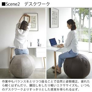 Vivora バランスボール ビボラ シーティングボール ルーノ レザーレット レザーレット Luno 合皮 合皮 65cm 65cm 二重構造 破裂防止 ポンプ付 ヨガ 体幹 雑貨ショップドットコム店