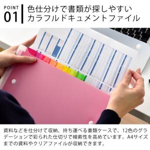ドキュメントファイル アドワン レインボー A...の詳細画像1
