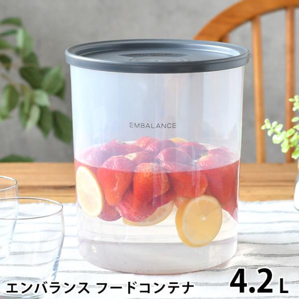 EMBALANCE エンバランス エンバランス フードコンテナ 4.2L 保存容器 プラスチック 保...