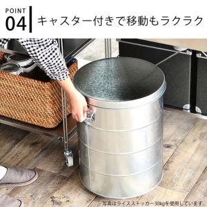 OBAKETSU オバケツ ライスストッカー ...の詳細画像5