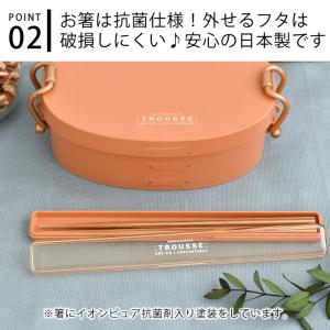 箸 ケース サブヒロモリ トルース 抗菌六角箸...の詳細画像3