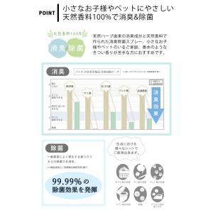 消臭スプレー トイレ HPエアーリフレッシャー...の詳細画像4