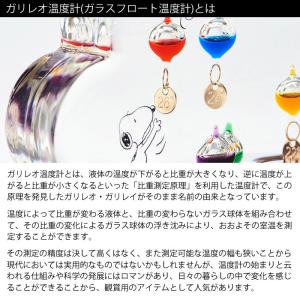 スヌーピー ガラスフロート 温度計 クラウド ...の詳細画像2