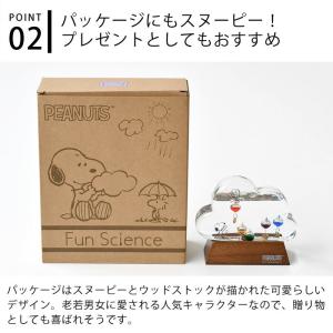 スヌーピー ガラスフロート 温度計 クラウド ...の詳細画像4