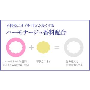 お試しパウチ&ラヴィリンウエットペーパ...の詳細画像4