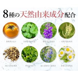 お試しパウチ&ラヴィリンウエットペーパ...の詳細画像5