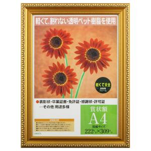 イワタ 額縁 賞状額 金消 樹脂製フレーム PET A4 PSKK-PET-SP-A4