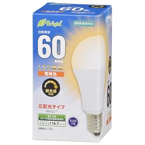 ELPA LED電球 ビーム球形 1000ルーメン 口金直径26mm 昼光色 LDR14D-M